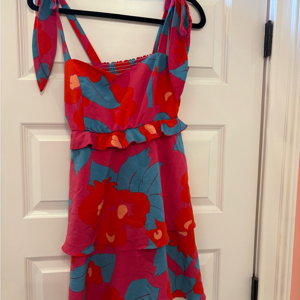 Floral Pink and Red Dress